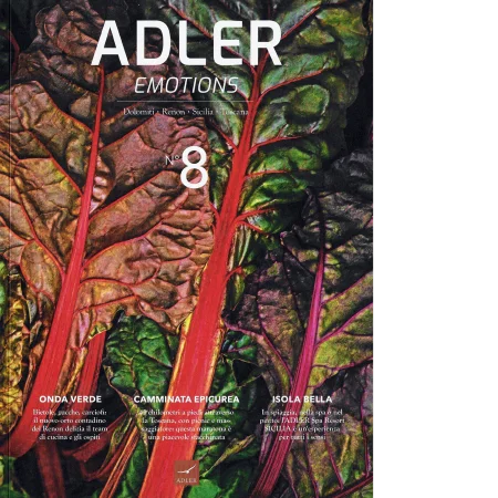 ADLER n°8
